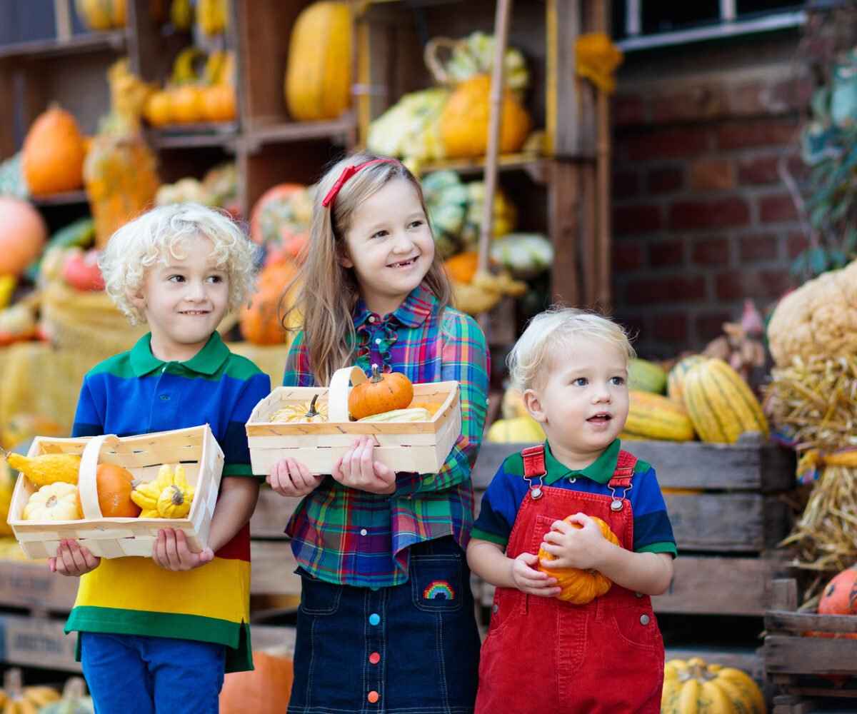 Three young children smiling for a picture while holding pumpkins.