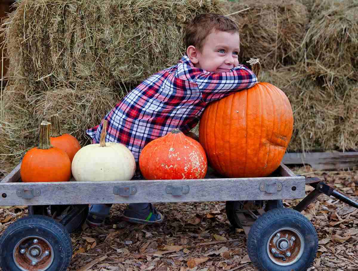 A kid posing with pumpkins in a wagon.
