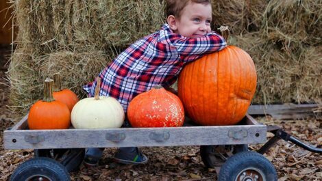 A kid posing with pumpkins in a wagon.