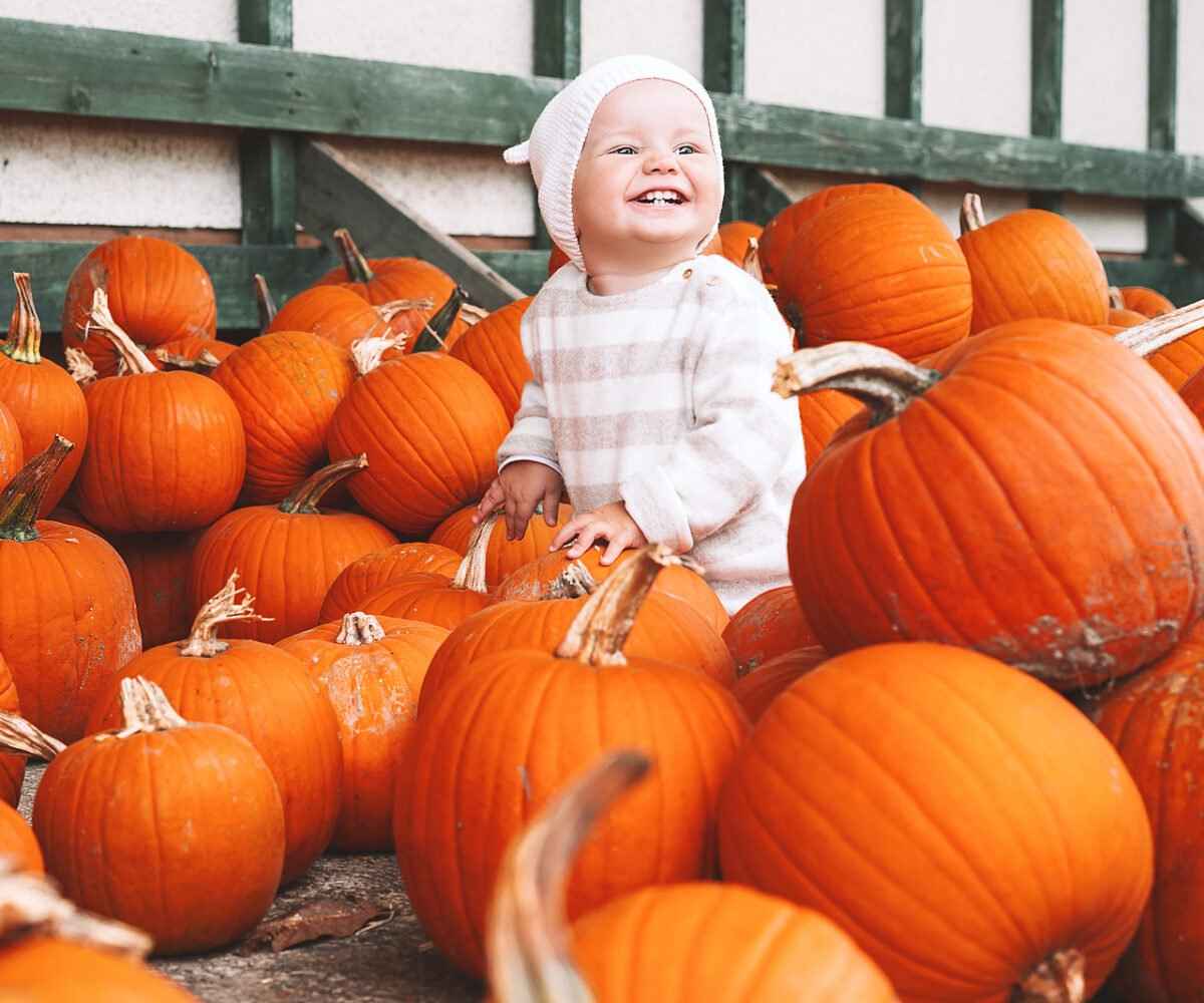 A young toddler sitting in a pile of pumpkins.