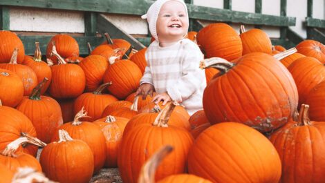 A young toddler sitting in a pile of pumpkins.