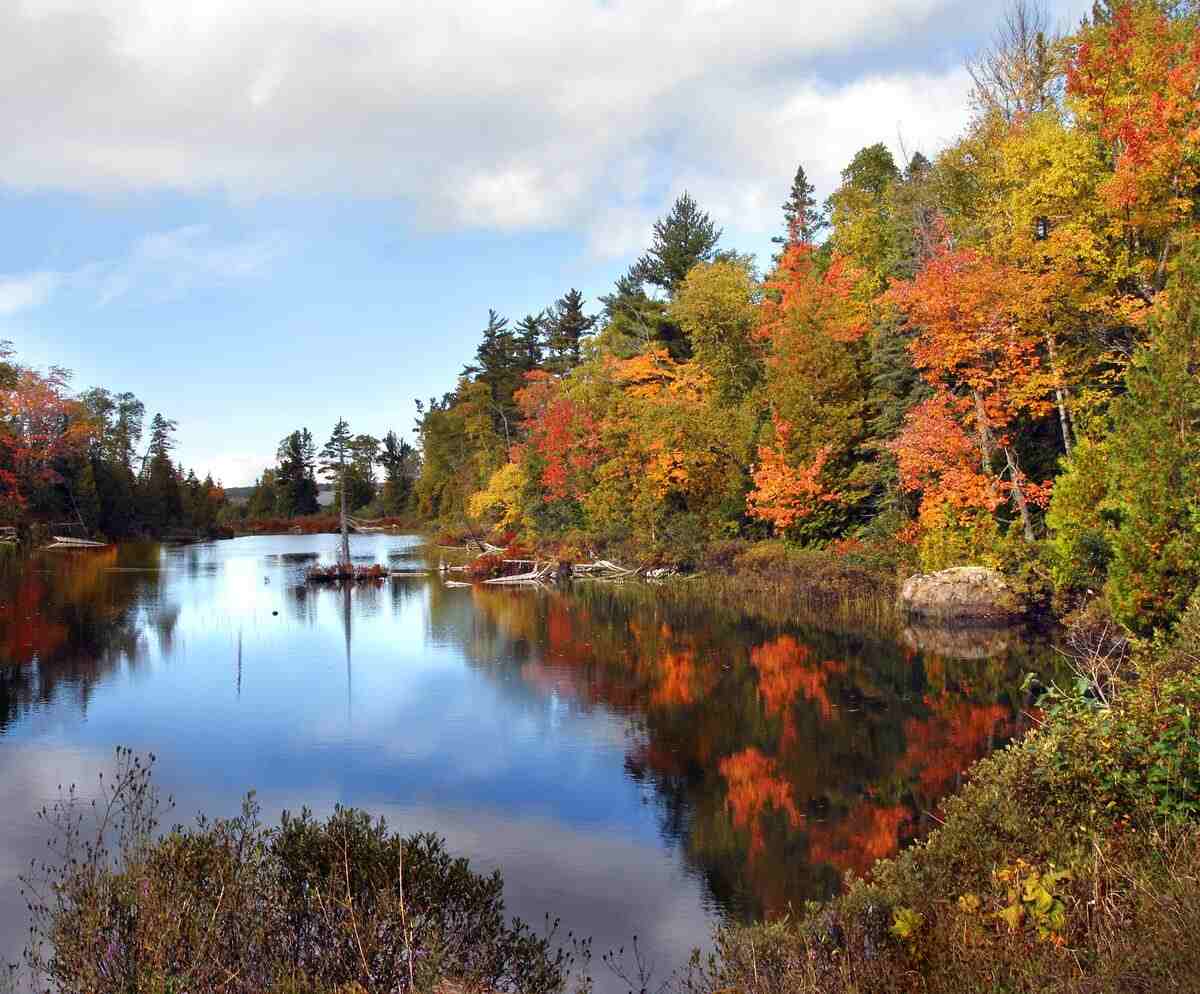 Fall trees next to a quiet lake.