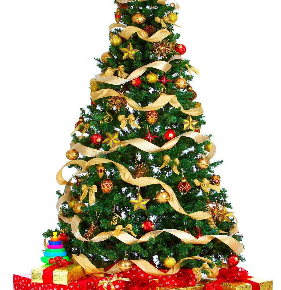 Green Christmas tree wrapped in gold ribbon and ornaments.