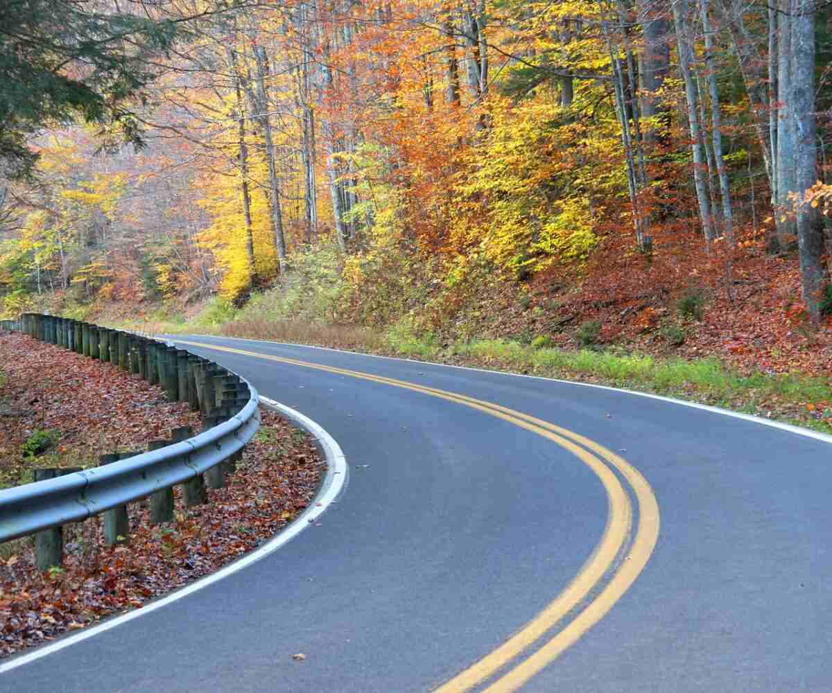 Windy road surrounded by fall trees.